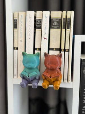 Todekora Kitaplık Aksesuarı 2’li Set-Okuyan Kedi Figür Dekor
