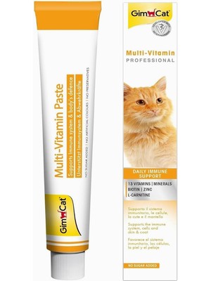 Hype Store Gimcat Kediler Için Multi-Vitamin, 100 G, Keten Tohumu Yağı (Omega-3 Yağ Asitleri, Dha ve Epa'nın Te