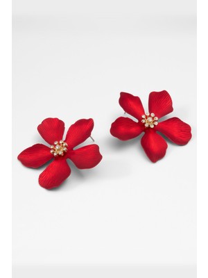 Aldo Maflorra Kadın Küpe - Kırmızı