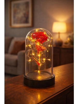 MiraLive Sevgiliye Dekoratif Solmayan Sonsuzluk Gülü Gün Işığı Peri LED Işıklı Büyük Boy Fanusta Gül Kırmızı