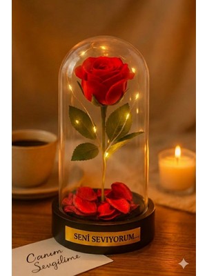 MiraLive Sevgiliye Seni Seviyorum Temalı LED Işıklı Mika Fanus Kırmızı Yapma Solmayan Gül  Büyük Boy 22 cm