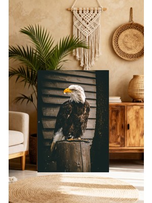 Mushen Studio Kel Kartal Portresi Tablo - Ahşap Perch Üzerinde Gerçekçi Doğa Fotoğrafı Duvar Sanatı