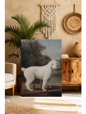 Mushen Studio Klasik Yağlıboya Tarzı Beyaz Poodle Tablo - Nehir Kenarı Zarif Köpek Portresi Duvar Sanatı