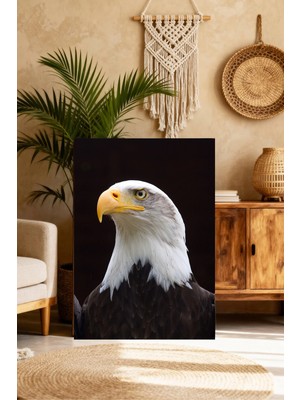 Mushen Studio Kel Kartal Portresi Tablo - Amerikan Kartalı Yakın Çekim Duvar Sanatı