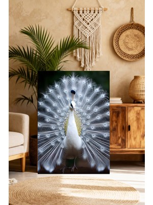 Mushen Studio Beyaz Tavus Kuşu Portresi Tablo - Gururlu Tüy Açmış Lüks Duvar Sanatı