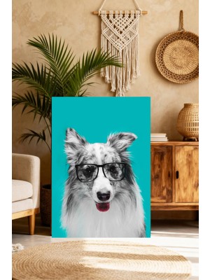 Mushen Studio Gözlüklü Sevimli Border Collie Tablo - Turkuaz Fonlu Komik Köpek Portresi Duvar Sanatı