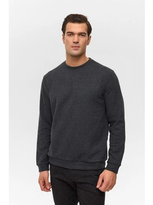 Süvari Antrasit Regular Düz Bisiklet Yaka Sweatshirt