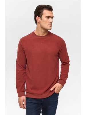 Süvari Açık Kahve Regular Düz Bisiklet Yaka Sweatshirt