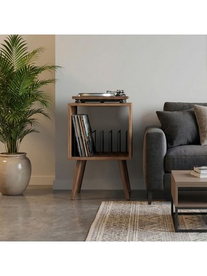 DEQQU Arte 44X44X80CM Ahşap Retro Pikap Sehpası, Metal Raflı Plak Organizer, Plak Düzenleyici, Plak Dolabı