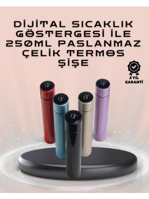 Epilons Mey Ithalat® 250ML LED Ekranlı Paslanmaz Çelik Akıllı Termos