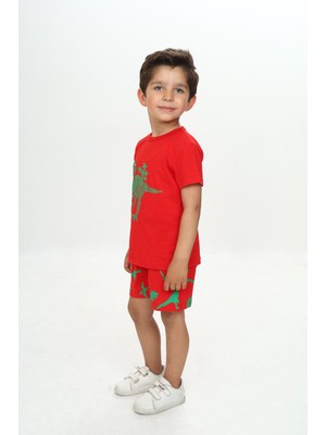 Toontoy Erkek Çocuk 2'li Takım Baskılı Bisiklet Yaka Tişört & Beli Lastikli Şort