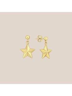 Altıntaş Dilek Yıldızı Altın  Küpe