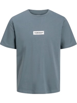 Jack & Jones Jack&Jones Erkek Logo Baskılı Tişört Gri Renk Günlük Kullanım İçin Kısa Kol Regular Kesim