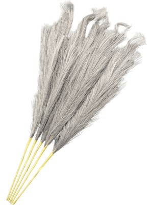 Lara Decor Gri Pampas Tüy Demeti 5'li