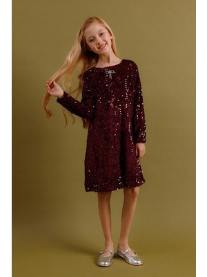 Perendi Kız Çocuk Pullu Uzun Kollu Kadife Elbise – Broş Hediyeli Özel Gün Bayramlık Elbise