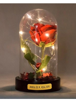 MiraLive Kişiye Özel Sevgiliye Hediye LED Işıklı Fanus  Kırmızı Solmayan Gül