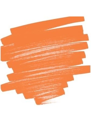 Pucutun Pilot Pintor F, Turuncu