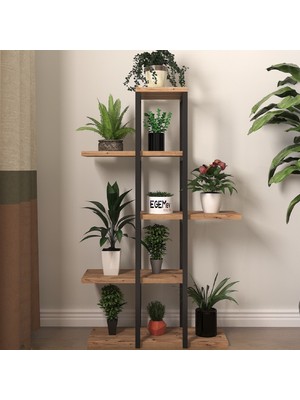 Egemev Dekoratif 5 Raflı Metal Çiçeklik Saksı Standı Saksılık