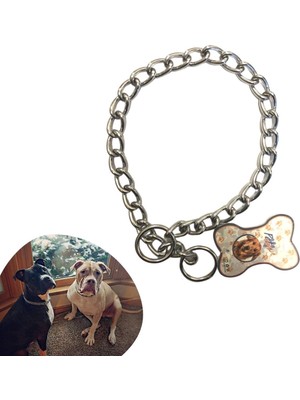 Greathings 65 cm Uzunlukta Zincir Model Köpek Için Boyun Tasması