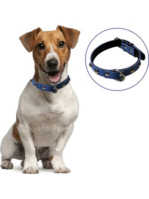 Greathings Yumuşak Dokulu Deri Köpek Gezdirme Boyun Tasması (Large)