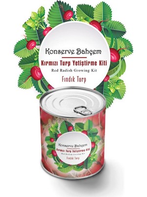 Greathings Konserve Bahçem Evde Konservede Fındık Turp Yetiştirme Kiti