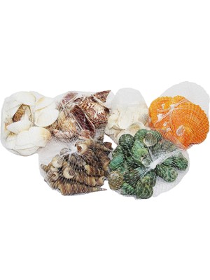 My Best Store Fileli Midye Deniz Kabuk Vazo Taşı Renkli Mix (4887) MYBESTSTORE-482957