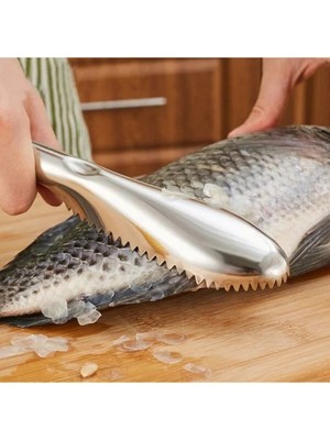 Alfa Life Marketing Pratik Balık Pulu Kazıyıcı Aparat