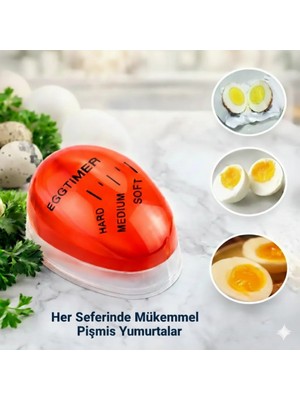Teknosoft Center Dublör Yumurta Zamanlayıcı Egg Timer