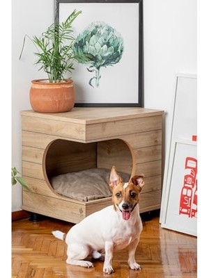 MarkEntegra Üstü Kapalı Kedi ve Köpek Kulübesi - Hava Koşullarına Dayanıklı