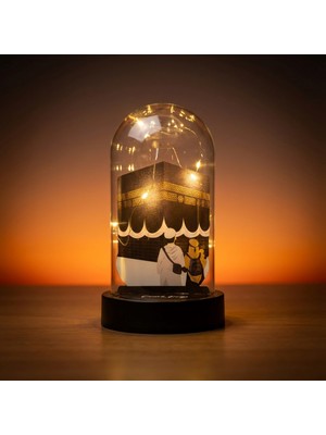 Toyigoo Özel Işıklı Kabe Fanus (Çocuksuz) TYGRSYT9573