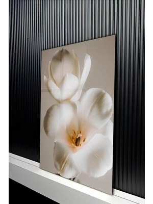 KutuTR Yüksek Kontrastlı Beyaz Çiçekli Temperli Cam Tablo 50X70 cm 2d Uv Baskı - YCT472