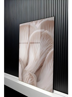 KutuTR Krem Tonlarda Organik Formlu Temperli Cam Tablo 50X70 cm 2d Uv Baskı - YCT527