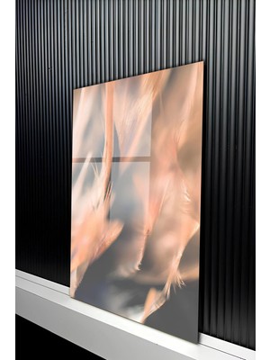 KutuTR Lüks Sanatsal Kanat ve Tüy Figürlü Temperli Cam Tablo 50X70 cm 2d Uv Baskı - YCT406