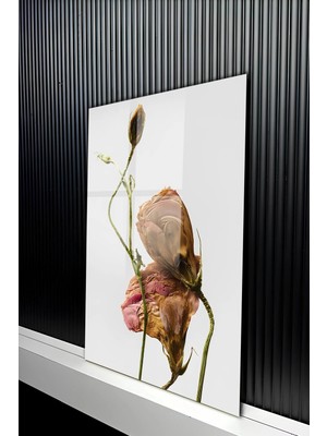 KutuTR Lüks Sanatsal Naturel Çiçek Figürlü Temperli Cam Tablo 50X70 cm 2d Uv Baskı - YCT402
