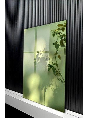 KutuTR Yeşil Tonlu Doğa Temalı Işık ve Gölge Tasarımlı Temperli Cam Tablo 50X70 cm 2d Uv Baskı - YCT325