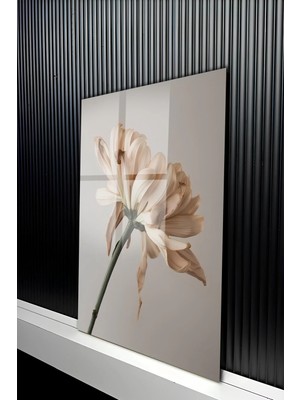 KutuTR Minimalist Bej Tonlu Soyut Ikili Çiçek Tasarımlı Temperli Cam Tablo 50X70 cm 2d Uv Baskı - YCT336