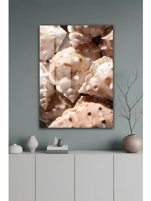 KutuTR Sahil Temalı Doğal Deniz Kabuğu Desenli Temperli Cam Tablo 50X70 cm 2d Uv Baskı - YCT531