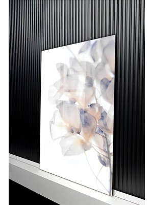 KutuTR Minimalist Soft Renkli Transparan Çiçek Tasarımlı Temperli Cam Tablo 50X70 cm 2d Uv Baskı - YCT330