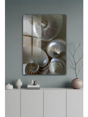 KutuTR Inci Tonlu Deniz Kabuğu Spiral Desenli Temperli Cam Tablo 50X70 cm 2d Uv Baskı - YCT552