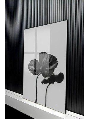 KutuTR Minimalist Siyah Beyaz Dramatik Gelincik Tasarımlı Temperli Cam Tablo 50X70 cm 2d Uv Baskı - YCT364