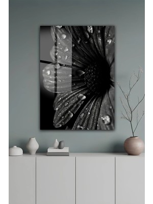 KutuTR Siyah Beyaz Makro Çiçek Detaylı Modern Temperli Cam Tablo 2d Uv Baskı - YCT653