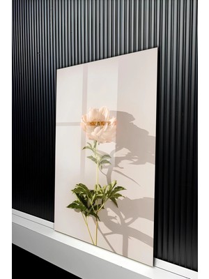 KutuTR Modern Tek Dal Şakayık Tasarımlı Temperli Cam Tablo 50X70 cm 2d Uv Baskı - YCT414