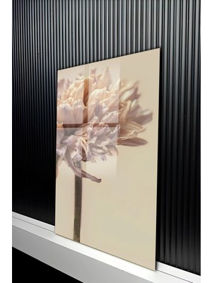 KutuTR Bej Tonlu Kurutulmuş Estetik Çiçek Temalı Temperli Cam Tablo 50X70 cm 2d Uv Baskı - YCT329