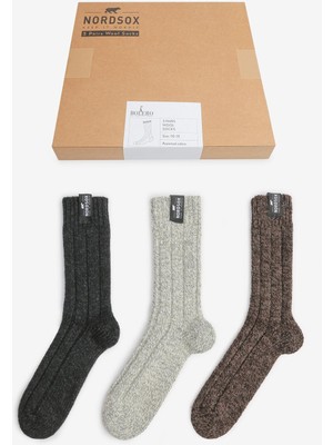 Alaska The Last Frontier Premium Örme Erkek Kışlık Yün Bot Çorabı 3'lü Kutu