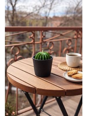 Talking Dreams Kaktüs Mum