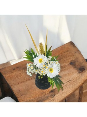 Sedosh Home Vision Beyaz Papatya Çiçek Aranjmanı-Dekoratif