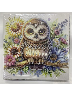 Elegantshop Tuval 5d Yapışan Boncuk Mozaik Tablo 25*25 cm YY91