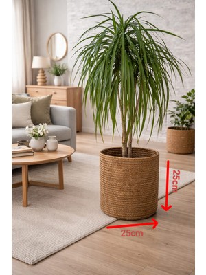 Sarda El Emeği Dekoratif Saksı Kılıfı Dekoratif Doğal ve Şık