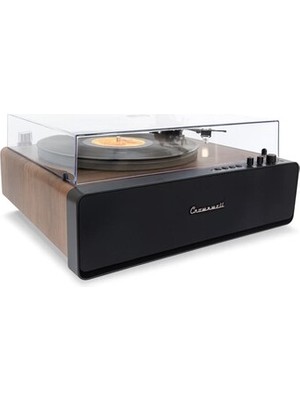 Tekinhediyelik Crownwell Pikap Vegas Plus Black