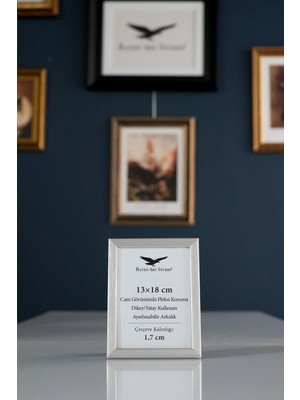 Raven Art Studio Ermitaj 13CM x 18CM Inox Gümüş Resim Fotoğraf Belge Poster Evrak Çerçevesi Korumalı Kırılmaz Pleksi Cam